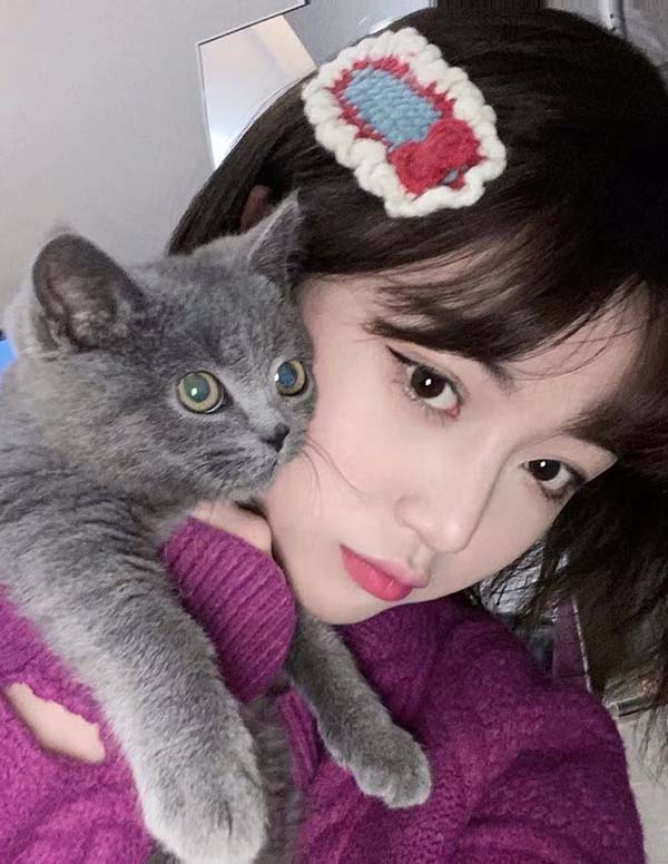 洛杉矶伴游服务